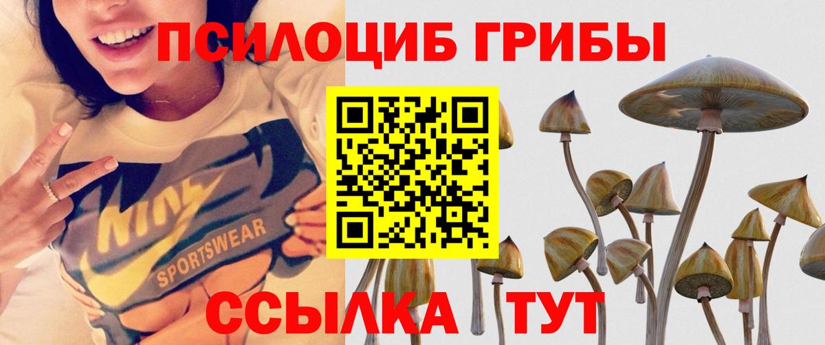 Псилоцибиновые грибы мухоморы Асино