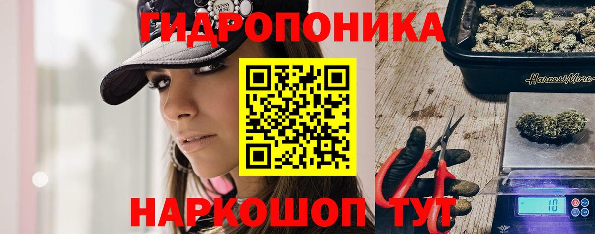 Бошки марихуана Amnesia  Вход с VPN  МАРИХУАНА конопля  Асино 